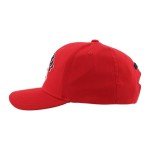 ZHATS Standard NHL Officially Licensed Hat Competitor Team Color, One Size