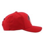 ZHATS Standard NHL Officially Licensed Hat Competitor Team Color, One Size