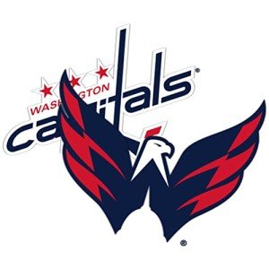Desert Cactus Washington Capitals Sticker NHL Team National Hockey League Vinyl Decal Laptop Water Bottle Car Scrapbook (4 inch Sticker)