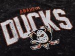 Calhoun NHL Surf & Skate Mens Acid Wash Long Sleeve Cotton Shirt (Anaheim Ducks, Large)