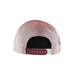 ZHATS Standard NHL Officially Licensed Adjustable Snapback Hat Big Rig Ombre, Team Color, One Size