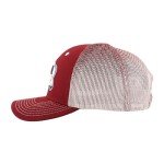 ZHATS Standard NHL Officially Licensed Adjustable Snapback Hat Big Rig Ombre, Team Color, One Size