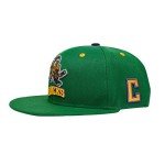 D-5 Mighty Ducks Adjustable Snapback Hat for Men Women #96 Conway #99 Banks Unisex Hip Hop Baseball Cap (#96 Green)