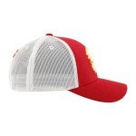 ZHATS Standard NHL Officially Licensed Adjustable Snapback Hat Big Rig Icon Team Color, One Size