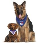 NHL NEW YORK RANGERS BANDANA for DOGS & CATS, Large/X-Large. - Cute & Stylish Bandana! The Perfect HOCKEY FAN Scarf Bandana, great for Birthdays or any Party!