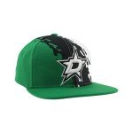 ZHATS Standard NHL Officially Licensed Adjustable Snapback Hat Flat Bill Z11 Retro Paintbrush, Team Color, One Size