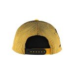 ZHATS Standard NHL Officially Licensed Adjustable Snapback Hat Big Rig Ombre, Team Color, One Size