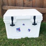 Desert Cactus New York Rangers Sticker NHL Team National Hockey League Vinyl Decal Laptop Water Bottle Car Scrapbook Sheet (Type 3 - Main Logo)