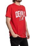 Calhoun NHL Surf & Skate Mens Vintage Style Distressed Heather Tone Rustic T-Shirt (New Jersey Devils, X-Large)