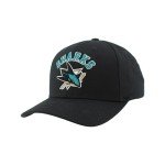 ZHATS Standard NHL Officially Licensed Hat Competitor Black, One Size