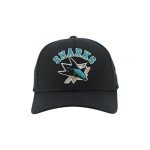 ZHATS Standard NHL Officially Licensed Hat Competitor Black, One Size