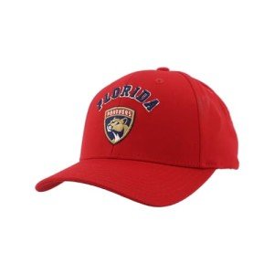 ZHATS Standard NHL Officially Licensed Hat Competitor Team Color, One Size