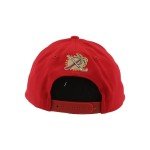 ZHATS Standard NHL Officially Licensed Hat Competitor Team Color, One Size