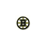 NHL Boston Bruins Team Logo Pin
