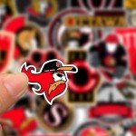 23 PCS Ottawa American Hockey Senators Stickers for Water Bottle, Laptop, Bicycle, Computer, Motorcycle, Travel Case, Car Decal Decoration Sticker