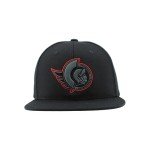 ZHATS Standard NHL Officially Licensed Adjustable Snapback Hat Flat Bill Z11 Black Element, One Size