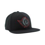 ZHATS Standard NHL Officially Licensed Adjustable Snapback Hat Flat Bill Z11 Black Element, One Size