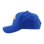 ZHATS Standard NHL Officially Licensed Hat Competitor Team Color, One Size