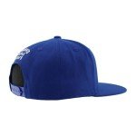 ZHATS Standard NHL Officially Licensed Adjustable Snapback Hat Flat Bill Z11 Icon Team Color, One Size