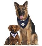 NHL Toronto Maple Leafs Bandana for Dogs & Cats, Large/X-Large. - Cute & Stylish Bandana! The Perfect Hockey Fan Scarf Bandana, Great for Birthdays Or Any Party!