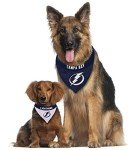 NHL Tampa Bay Lightning Bandana for Dogs & Cats, Large/X-Large. - Cute & Stylish Bandana! The Perfect Hockey Fan Scarf Bandana, Great for Birthdays Or Any Party!