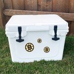 Desert Cactus Boston Bruins Team NHL National Hockey League Sticker Vinyl Decal Laptop Water Bottle Car Scrapbook (Type 3 - Main Logo)