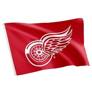 Desert Cactus Detroit Red Wings Flag NHL 100% Polyester Indoor Outdoor 3x5 feet National Hockey League Team Flags (Design #1)