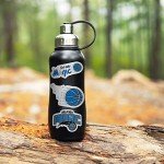 Rico Industries RSS8601: Blues 3-Piece Retro Spirit Decals