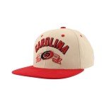 ZHATS Standard NHL Officially Licensed Adjustable Snapback Hat Milestone, Dark Stone, One Size