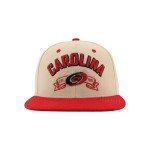 ZHATS Standard NHL Officially Licensed Adjustable Snapback Hat Milestone, Dark Stone, One Size