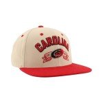 ZHATS Standard NHL Officially Licensed Adjustable Snapback Hat Milestone, Dark Stone, One Size