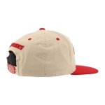 ZHATS Standard NHL Officially Licensed Adjustable Snapback Hat Milestone, Dark Stone, One Size