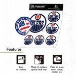 Desert Cactus Edmonton Oilers Sticker Team NHL National Hockey League Vinyl Decal Laptop Water Bottle Car Scrapbook (Type 3 - Main Logo)