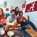 Rico Industries NHL Winnipeg Jets Standard Double Sided Double Sided Car Flag - 16" x 19" - Strong Pole that Hooks Onto Car/Truck/Automobile