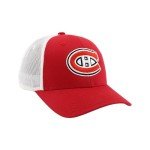 ZHATS Standard NHL Officially Licensed Adjustable Snapback Hat Big Rig Icon Team Color, One Size