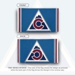 Desert Cactus Colorado Avalanche Flag NHL 100% Polyester Indoor Outdoor 3x5 feet National Hockey League Team Flags (Flag A)