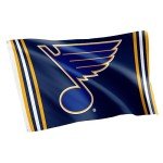 Desert Cactus St. Louis Blues Flag NHL 100% Polyester Indoor Outdoor 3x5 feet National Hockey League Team Flags (Flag A)