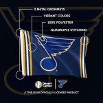 Desert Cactus St. Louis Blues Flag NHL 100% Polyester Indoor Outdoor 3x5 feet National Hockey League Team Flags (Flag A)