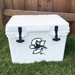 Desert Cactus San Jose Sharks Team NHL National Hockey League Sticker Vinyl Decal Laptop Water Bottle Car Scrapbook (Individual E)