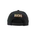 ZHATS Unisex Kid's NHL Officially Licensed Youth Adjustable Snapback Hat Flat Bill Z11 Icon Team Color, One Size