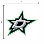 Rico Industries NHL Dallas Stars Primary Shape Cut Pennant - Home and Living Room Décor - Soft Felt EZ to Hang