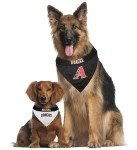 Pets First DMB-3217-L-XL MLB Arizona Diamondbacks Reversible Pet Bandana, Large/X-Large, MLB Team Color