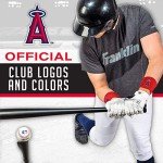 Franklin Sports MLB Sweat Wristband, Team Specific, One Size