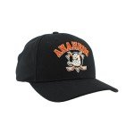 ZHATS Standard NHL Officially Licensed Hat Competitor Black, One Size