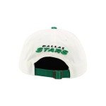 ZHATS Standard NHL Officially Licensed Adjustable Hat Scholarship Icon White, One Size