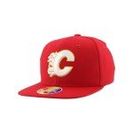 ZHATS Unisex Kid's NHL Officially Licensed Youth Adjustable Snapback Hat Flat Bill Z11 Icon Team Color, One Size