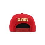 ZHATS Unisex Kid's NHL Officially Licensed Youth Adjustable Snapback Hat Flat Bill Z11 Icon Team Color, One Size