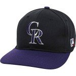 2013 Adult FLAT BRIM Colorado Rockies Alternate Black/Purple Hat Cap MLB Adjustable