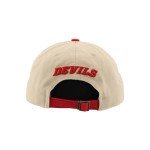 ZHATS Standard NHL Officially Licensed Adjustable Hat Scholarship Icon Stone, One Size