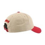 ZHATS Standard NHL Officially Licensed Adjustable Hat Scholarship Icon Stone, One Size